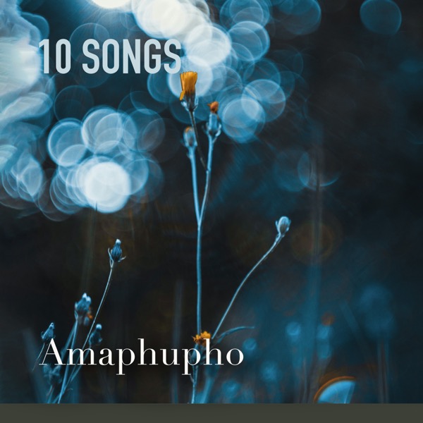 Amaphupho cover