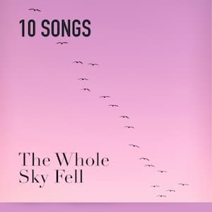 The Whole Sky Fell Playlist